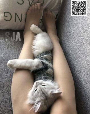 影片侵入电影_BD韩语最新电影在线观看